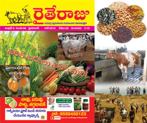 Raithe Raju Telugu Magazine